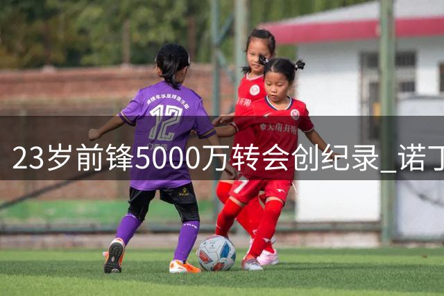 23岁前锋5000万转会创纪录 诺丁汉森林豪赌切尔西弃将